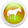 σχέδιο άσπρου αλόγου σε πράσινο φόντο