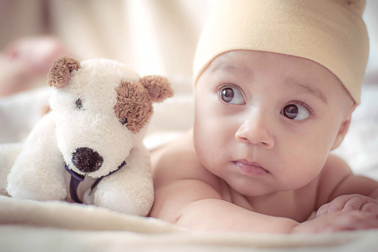 baby with a toy dog