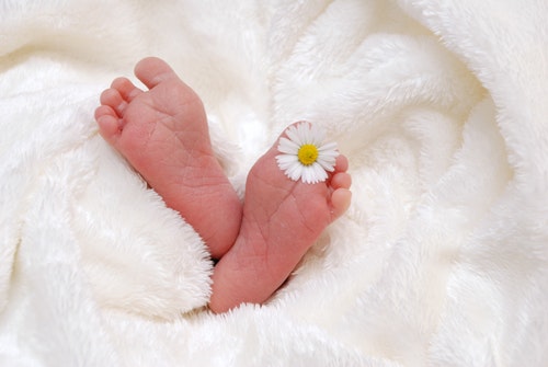 πατουσάκια νεογέννητου με μαργαρίτα ανάμεσα στα δάχτυλα